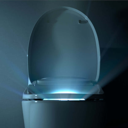 Bio Bidet DLS Discovery Bidet Seat with Sittable lid, Self-Cleaning Stainless Steel Adjustable Nozzle, Unlimited Warm Water - EverFlow Bidets